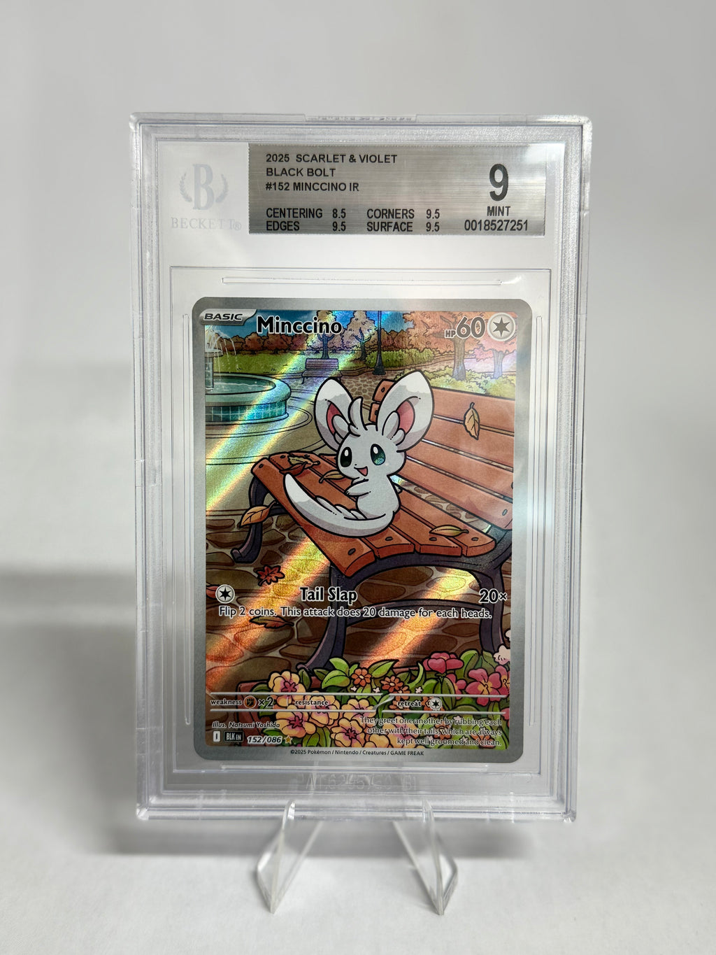 BGS 9 | Minccino Illustration Rare Black Bolt